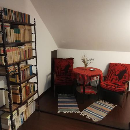 Busteni House Kültér fotó