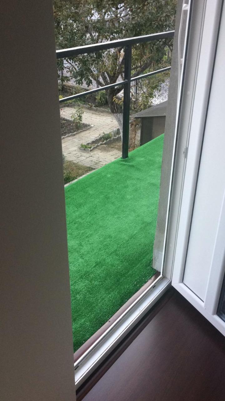 Busteni House Kültér fotó